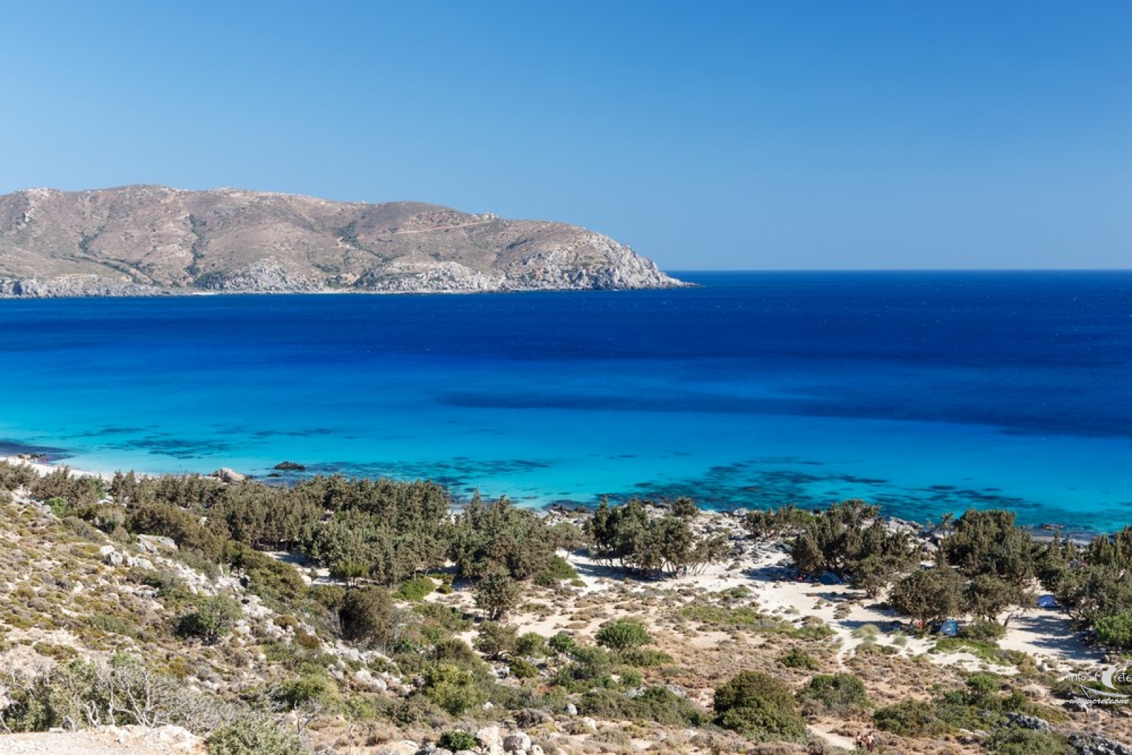 Παραλία κεδρόδασος